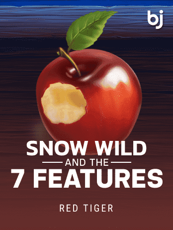SnowWildandthe7Featurespng icon